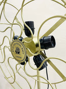 Handyfiner Antique Adjustable Tripod Fan 5 Light Floor Lamp with Morden Looks, Brass and Brown,