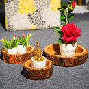 HAND CRAFTED BARK TRAY SET OF 3