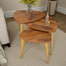 Premium-Quality Sheesham Wood Nesting Table - Set of 3