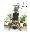 WOODEN MULTIPURPOSE FOLDING RACK/PLANT STAND WITH 3 DECKS